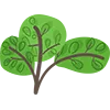 animation image